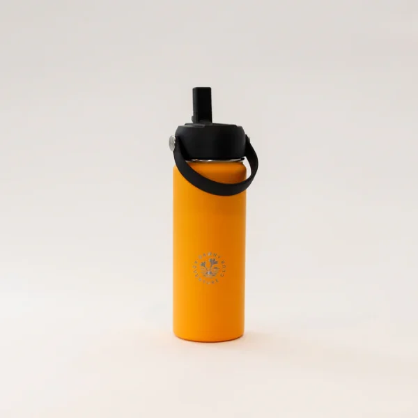 Dawny Adventure Club - 530ml Bottle | Jeffersons Giftware